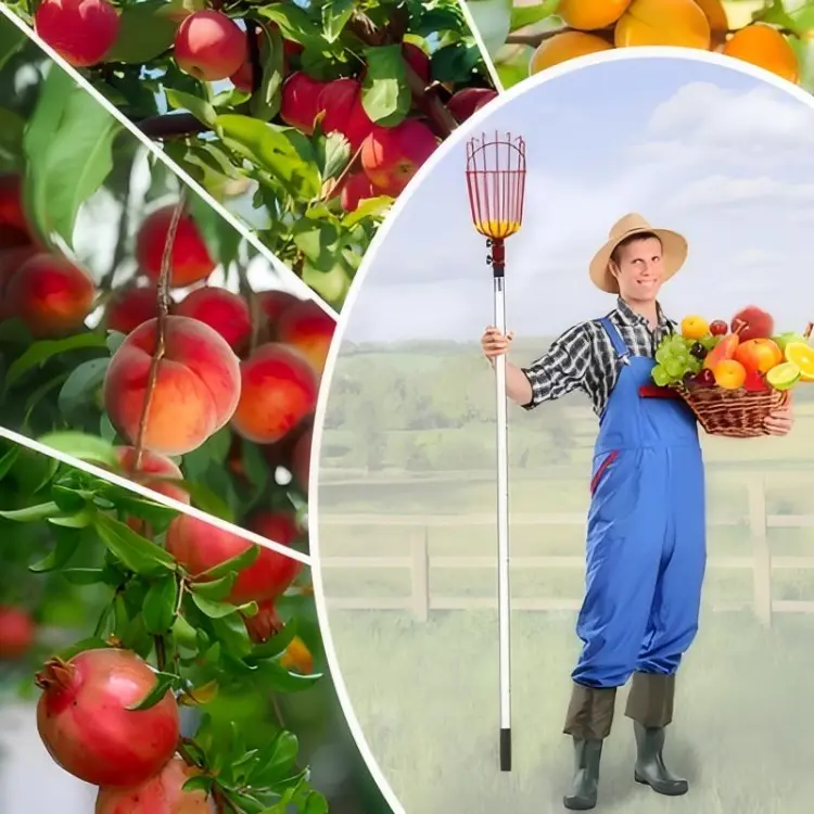 Fruit Picker