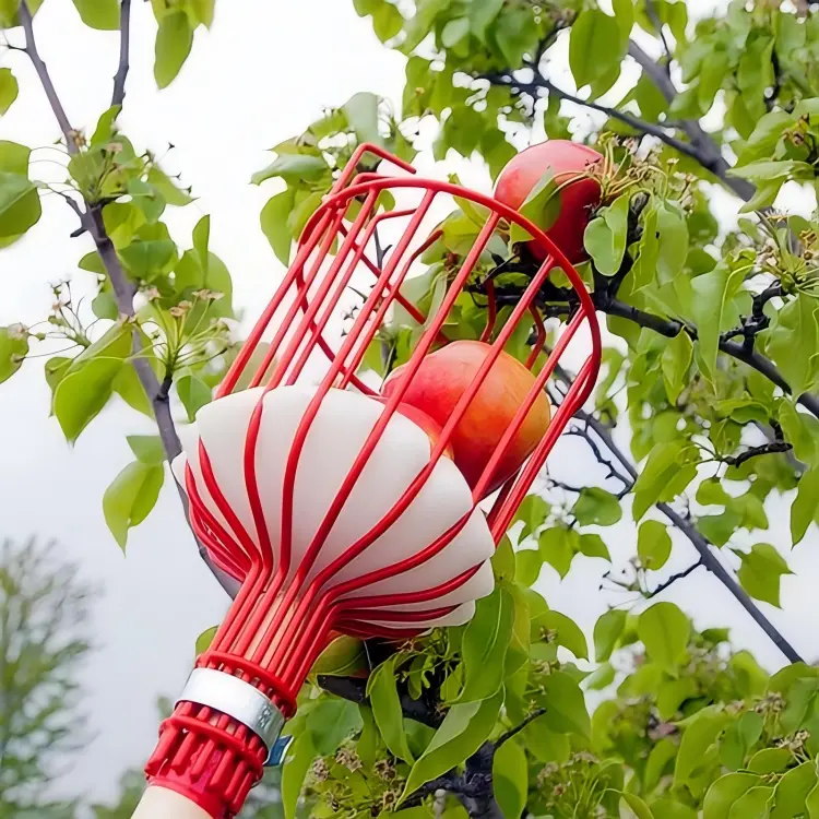 Fruit Picker