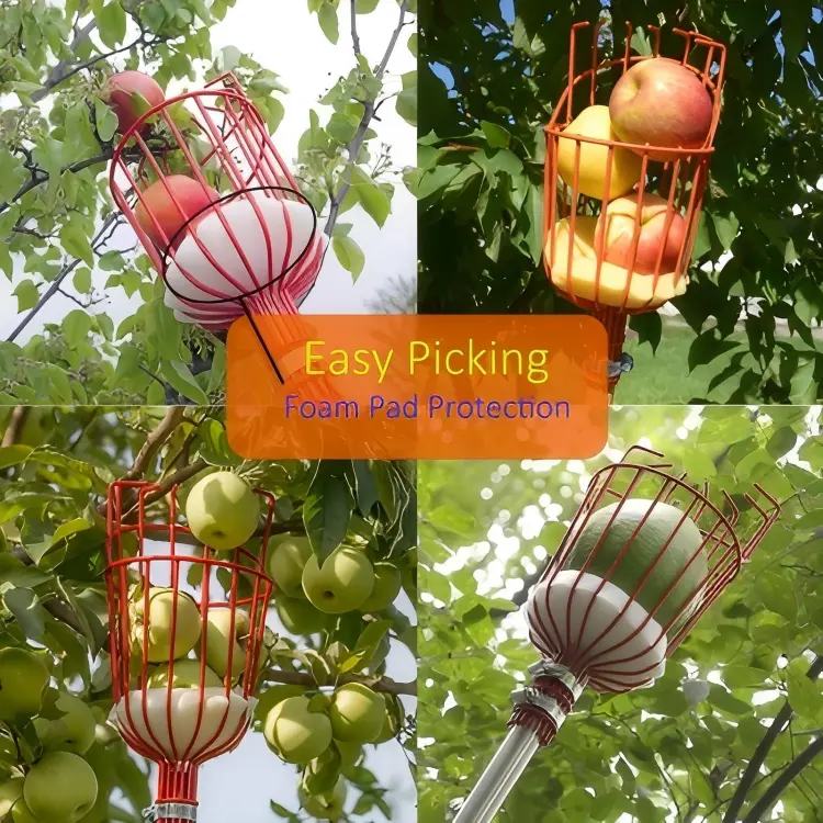 Fruit Picker