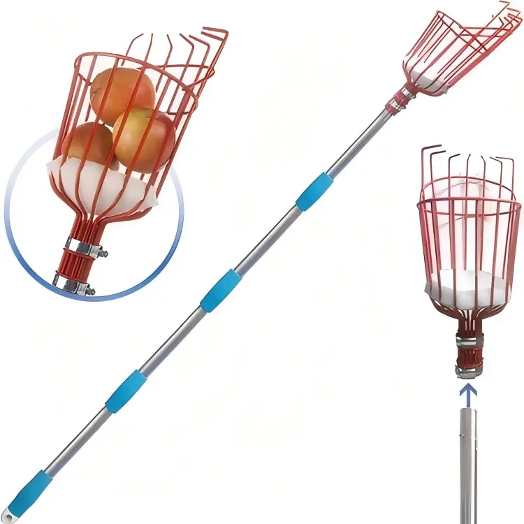 fruit-picker4