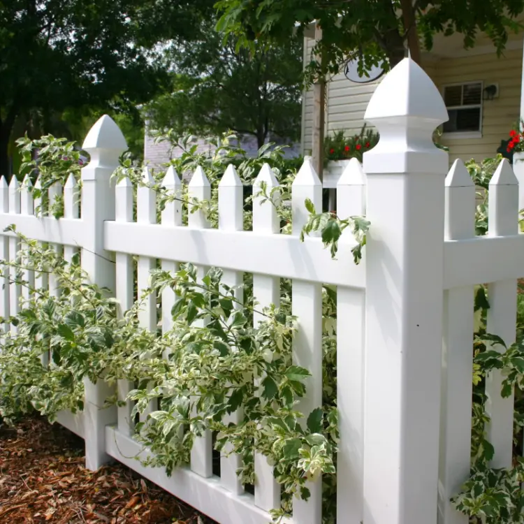 Garden fence