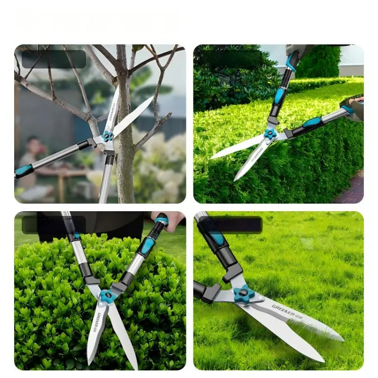 Hedge Shears