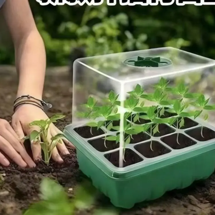 Seedling cover