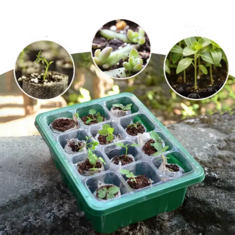Seedling cover
