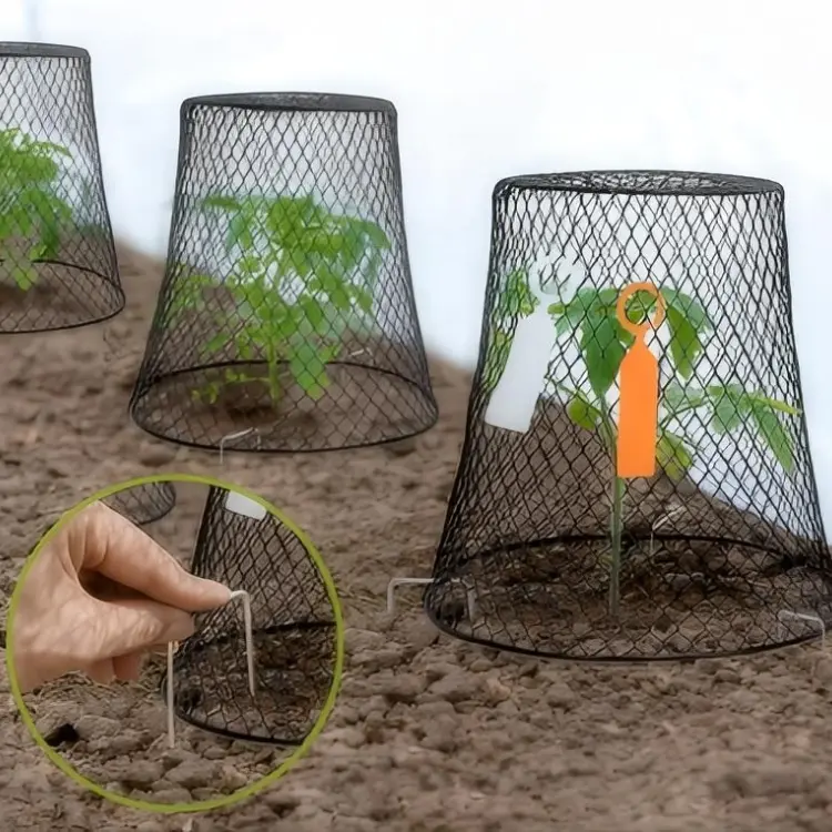 Seedling cover