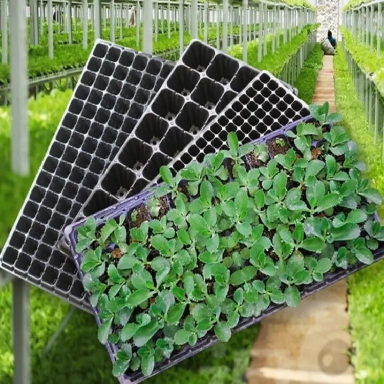Seedling cultivation tools