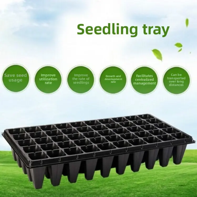 Seedling cultivation tools