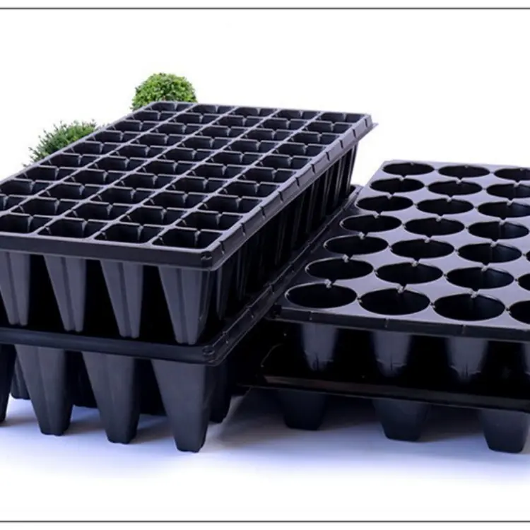 Seedling cultivation tools